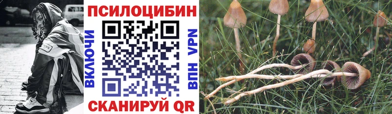 Галлюциногенные грибы Cubensis  гидра как зайти  Тотьма 