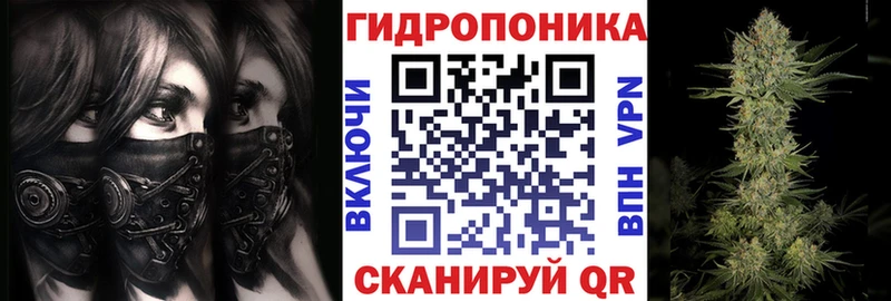 где купить наркотик  Тотьма  Бошки Шишки планчик 
